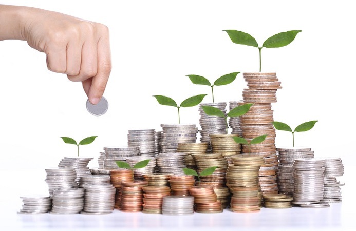 Pelatihan Analisis Investasi Publik, Training Analisis Investasi Publik