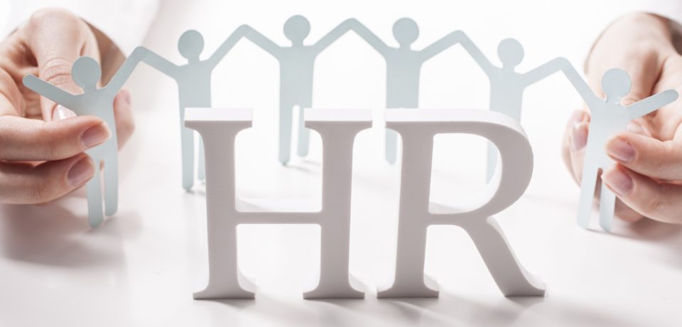 Pelatihan Comprehensive Human Resources Information System, Training Comprehensive Human Resources Information System