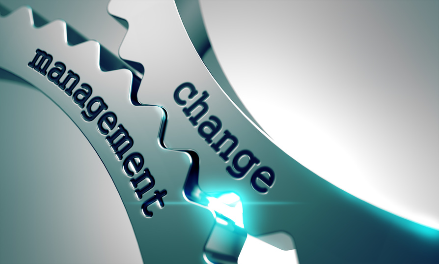 Pelatihan Change Management, Training Change Management