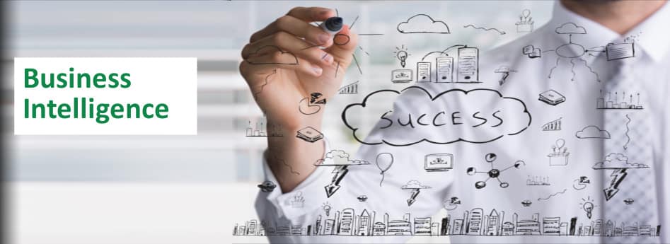 Pelatihan Business Intelligence, Training Business Intelligence