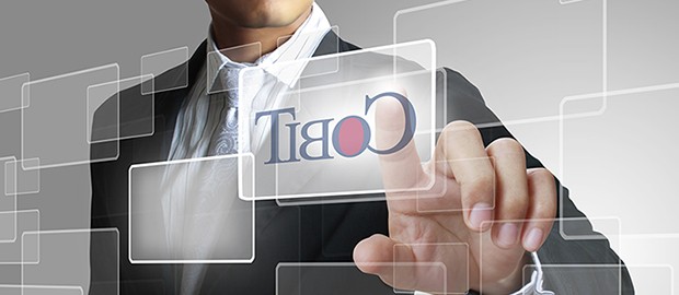 Pelatihan Cobit, Training Cobit