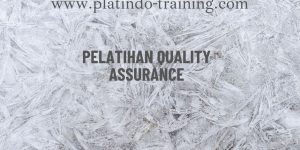 Pelatihan Quality Assurance