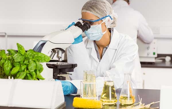 Pelatihan Food Safety, Training Food Safety