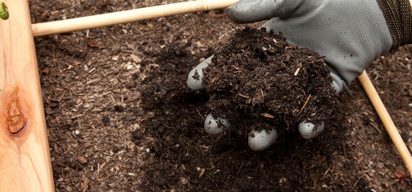 Pelatihan Pupuk Organik : Pengolahan Bahan, Pembuatan Produk, dan Penerapan Pemakaian, Training Pupuk Organik : Pengolahan Bahan, Pembuatan Produk, dan Penerapan Pemakaian