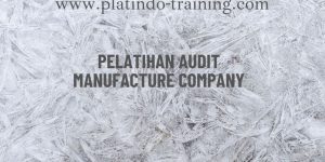 Pelatihan Audit Manufacture Company